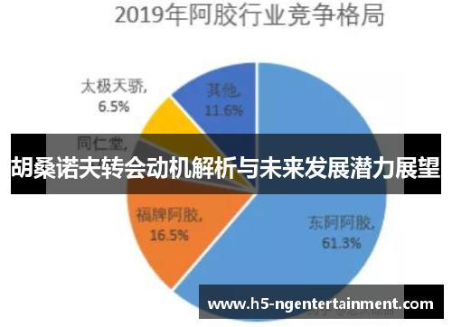 胡桑诺夫转会动机解析与未来发展潜力展望 胡桑诺夫转会动机解析与未来发展潜力展望
