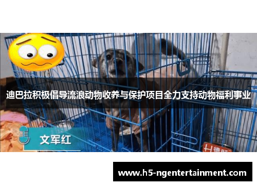 迪巴拉积极倡导流浪动物收养与保护项目全力支持动物福利事业