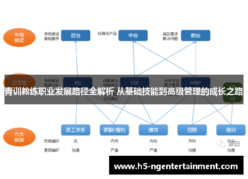 青训教练职业发展路径全解析 从基础技能到高级管理的成长之路